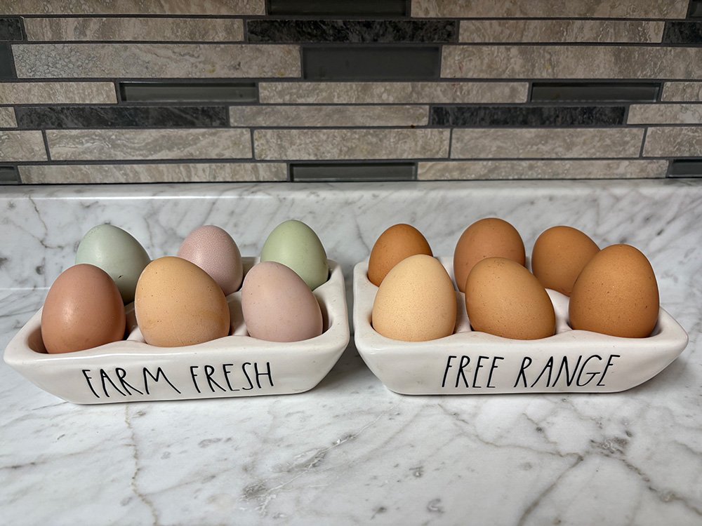 Eggs
